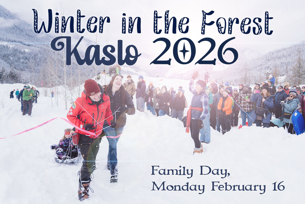 Winter in the Forest